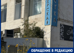 «Сорняки в Волгодонске настолько неприхотливы, что растут даже на крышах»: жители заметили необычный «цветник» в центре нового города 