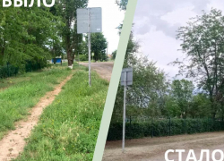 В Орловском районе должностное лицо наказали за неухоженный участок