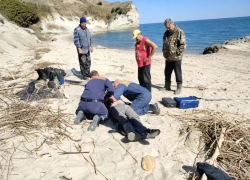 Волгодонец упал с пятиметрового обрыва берега Цимлянского водохранилища