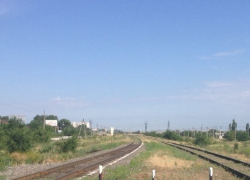 В Волгодонске найдено обезображенное тело мужчины, изгрызенное собаками