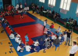 11 волгодонцев стали победителями открытого турнира по самбо, приуроченного к 70-летию Победы