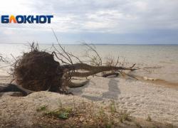 Цимлянское водохранилище: тревожные тенденции маловодья