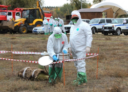 Склонившихся над шкурой мертвой овцы людей в костюмах биологической защиты заметили в Романовской