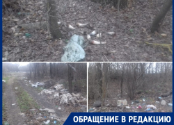 Рога, строительный мусор и горы отходов обнаружили волгодонцы в лесополосе