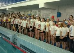 На заплывах в волгодонской спортшколе №3 установили 20 рекордов города