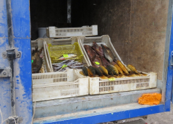 Несанкционированная торговля  в Волгодонске негативно отражается на собираемости налогов