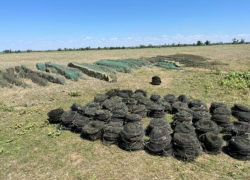 100 000 рублей ущерба «выловили» браконьеры: рыбоохрана спасла почти тысячу раков в Волгодонском районе