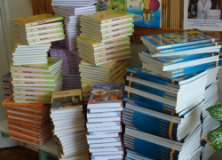 Более миллиона рублей лицей №24 готов потратить на приобретение новых учебников для детей