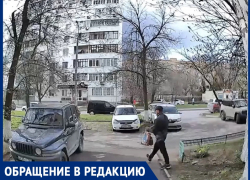 «Цветы для любимой за счет соседей»: мужчина обнес дворовую клумбу, жильцы дома Западный,2 возмущены