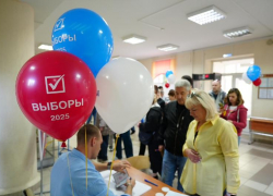 Явка на выборах губернатора пробуждает легкую дремоту 