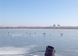 На тонком льду: отчаянные рыбаки Волгодонска рискуют жизнями ради улова