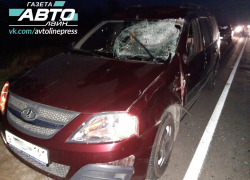 Волгодонец сбил насмерть корову возле хутора Лагутники 