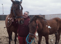 Личный парикмахер, массажист и стоматолог: как живет испанская кобылка-миллионер в Волгодонске