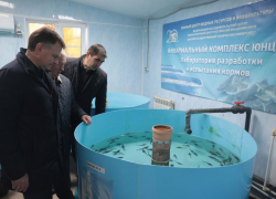 Губернатор поручил развивать водные биоресурсы в бассейне Азовского моря