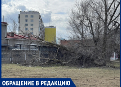 «Как уныло выглядит город!»: неубранный Волгодонск  вгоняет женщину в тоску