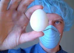 Волгодонцы чаще всего в Ростовской области болеют сальмонеллезом