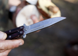 Поход в гости для семейной пары из Волгодонска закончился резней