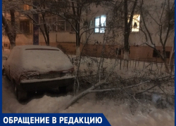 «Огромная ветка чудом упала мимо автомобиля»: волгодонец о последствиях снегопада