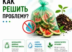 Волгодонск, у нас проблема: откуда на асфальте у мусорок берётся эта едкая арбузная жижа (и как всё исправить)