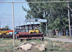 Под Волгодонском произошло массовое заражение рыбы червями-паразитами