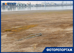 Что происходит с Цимлянским водохранилищем, и случится ли в Волгодонске водная катастрофа после обмеления водоема