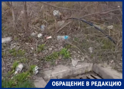 Кругом один мусор и ветки: волгодонцы пытаются добиться чистоты на бульваре Великой Победы