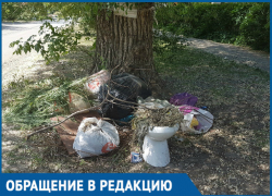 «Стихийный сортир» или несанкционированная свалка: выброшенный под дерево унитаз уже месяц мозолит глаза волгодонцам 