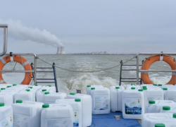 Для рыб-камышеедов в пруд-охладитель Ростовской АЭС выпустили тысячи литров зеленого корма