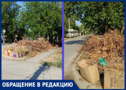 Свалка из веток деревьев мешает обзору водителям: волгодончанка