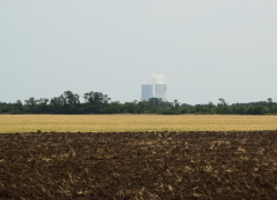 В Волгодонске намолотили пшеницы на целый железнодорожный состав