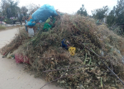 Волгодонцы заполнили мусором Аллею почетных захоронений на кладбище №2
