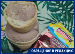 «Почти полторашка»: в волгодонском «Чижике» продали необычное мороженое