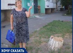 «Роскошную акацию уничтожили вместе с гнездами птиц»: жительница В-7 о рубке деревьев