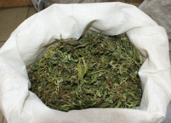 20-летний волгодонец вместо цветов принес на свидание мешок марихуаны