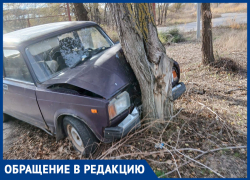 Машина в дереве: горожанка просит отозваться владельца железного коня 