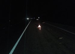 На трассе «Ростов-Волгодонск» погиб пешеход