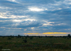 Четверг в Волгодонске обещает быть облачным
