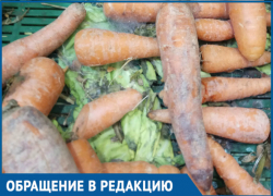 Прилавок с заплесневелыми овощами вывел из себя волгодончанку 