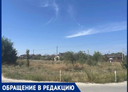 «Город Счастья» превращается в джунгли: жители микрорайона утопают в траве