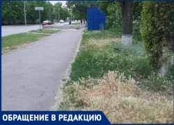 «Улица Максима Горького заросла травой»: волгодонец 