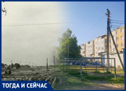 Волгодонск тогда и сейчас: огороды на месте старого города