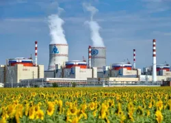 Ростовская АЭС перевыполнила план по выработке электроэнергии за восемь месяцев 2026 года