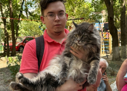 Повреждены десять домов, сотни людей эвакуированы: Ростов переживает последствия  удара украинского БПЛА