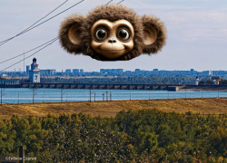 В Волгодонске после суточной блокировки заработал мобильный интернет