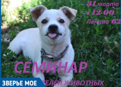 В последний день марта в Волгодонске любители животных смогут пообщаться с дрессировщиком, кинологом и другими специалистами