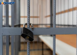 Жительница Цимлянского района осуждена за мошенничество с использованием поддельных чеков