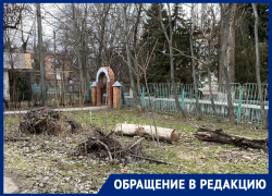 «Что за Бермудский треугольник?!»: Волгодонцы потребовали убрать горы веток рядом с «поликлиникой АЭС»