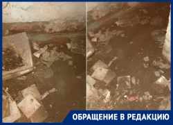  «Более 7 лет подвал затоплен, а в подъезде вонь»: волгодонцы о невыносимой жизни в МКД