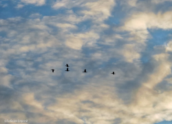 Антициклон принес в Волгодонск ясную погоду