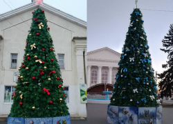 Елочки в разных нарядах: глава Цимлянского района поделилась фотографиями новогодних красавиц